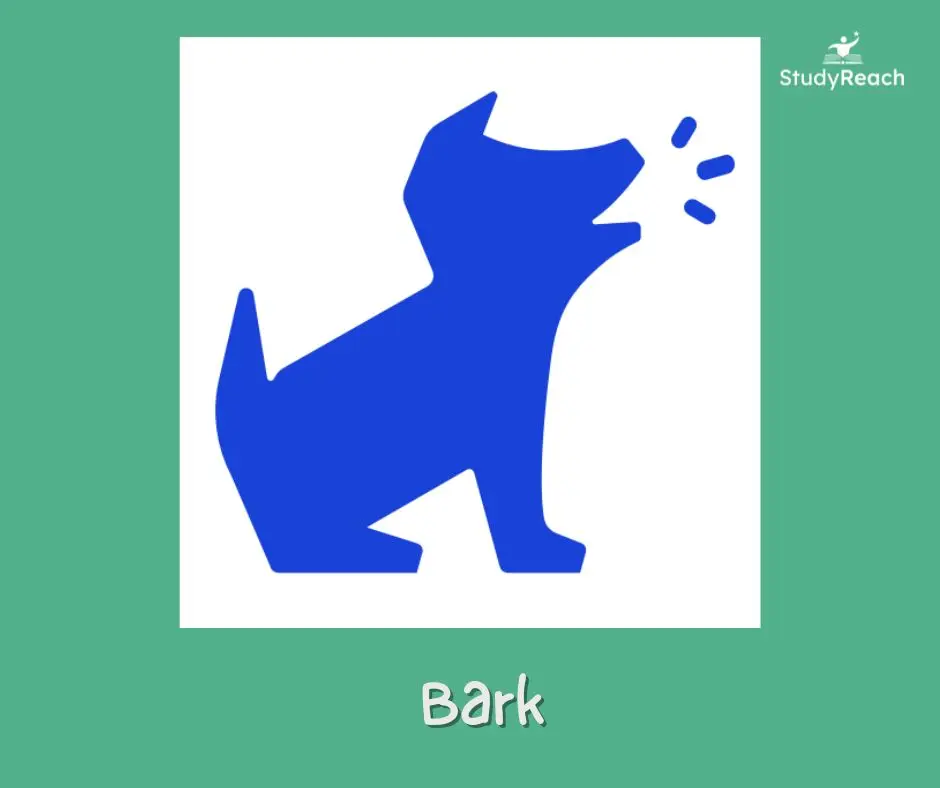 Bark - Parental Control App